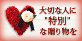 ���u�M�t�g���W