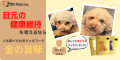 Mt Flat Pet Foods